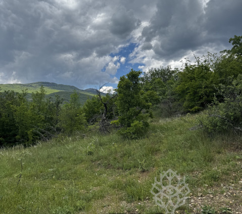 Участок 12 соток, Крым республика, город Алушта, село Лучистое