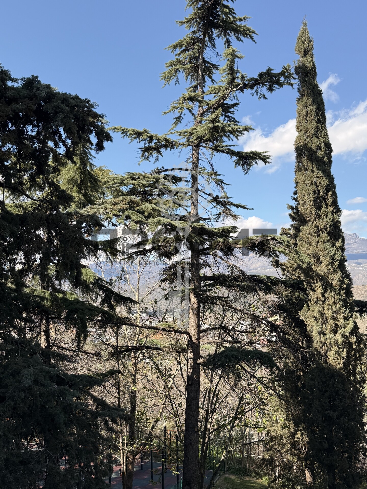 Квартира 66.2 кв. м, Крым республика, город Алушта, улица Туристов, дом 3